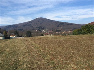 terrain à la vente -   90170  PETITMAGNY, surface 6500 m2 vente terrain - APR628291